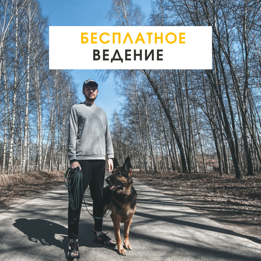 Олег - таргетолог и Джек - собачий депутат.