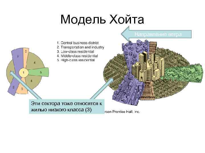 Секторная концепция развития города Хойта. Модель города Хойта. Секторальная модель города. Модель концентрических зон.