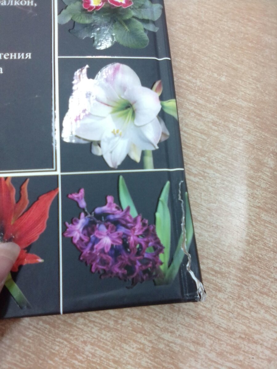 Личное фото. 