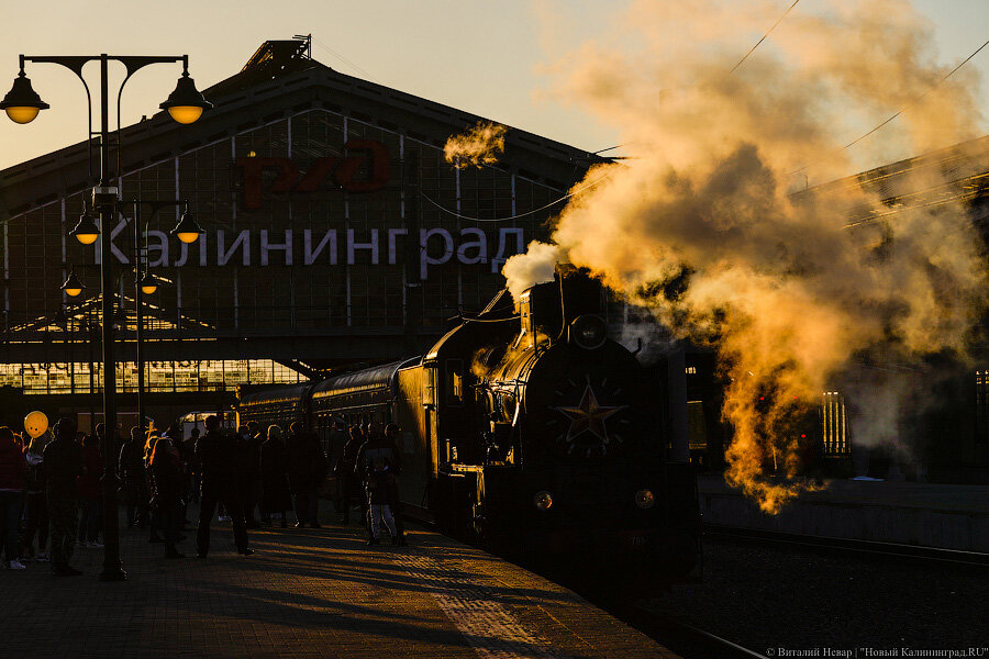 Источник newkaliningrad.ru автор фото: Виталий Невар