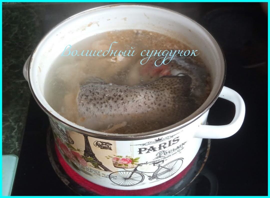 Уха из головы и хвоста семги варится на плите.