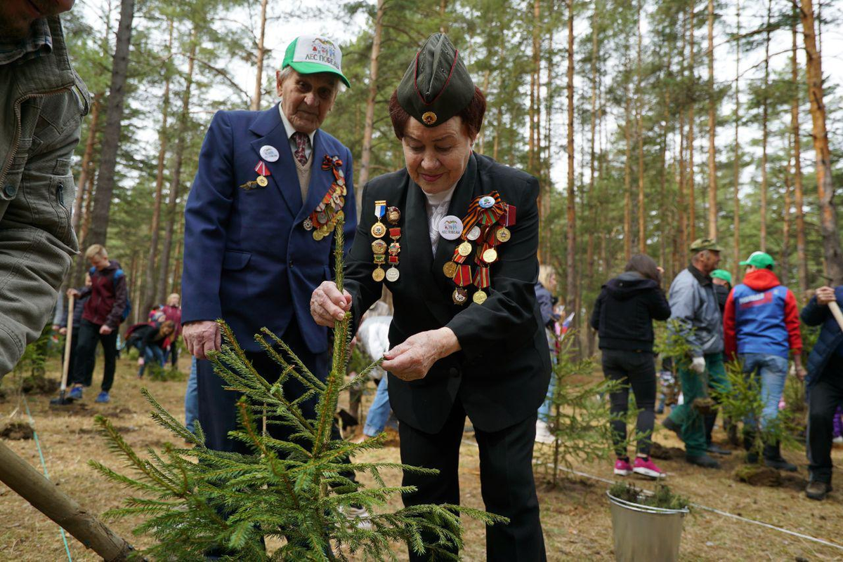 9 мая лес. Ветераны в парке Победы посадка деревьев. Лес Победы. День Победы лес. Лес памяти.