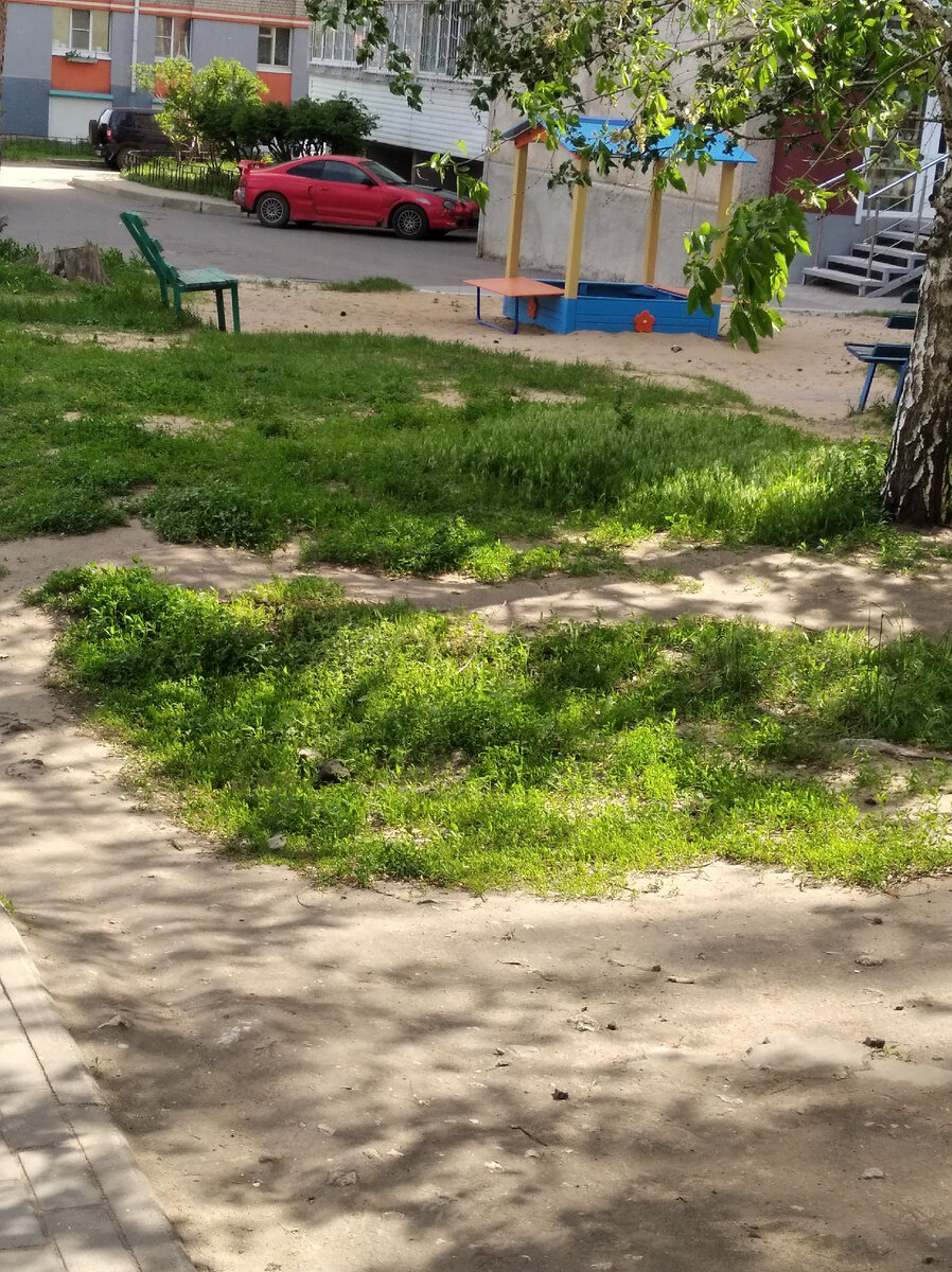 Наша площадка