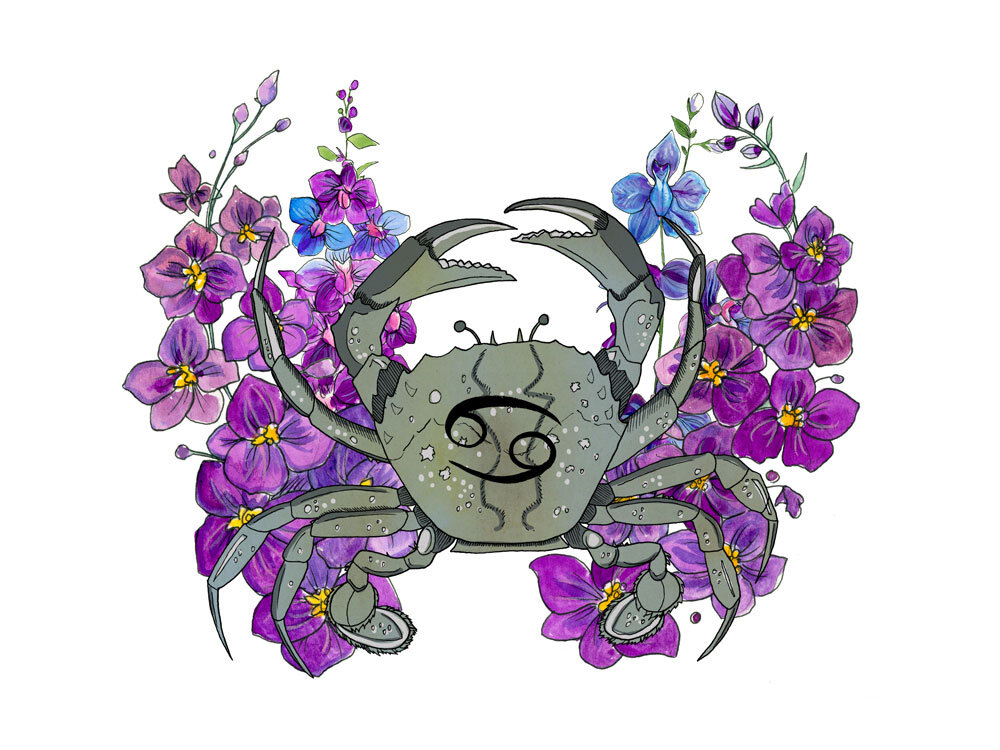 рак гороскоп цветов. Cancer знак зодиака. цветы по знаку зодиака лев. цветок талисман по знаку зодиака. цветочный гороскоп.