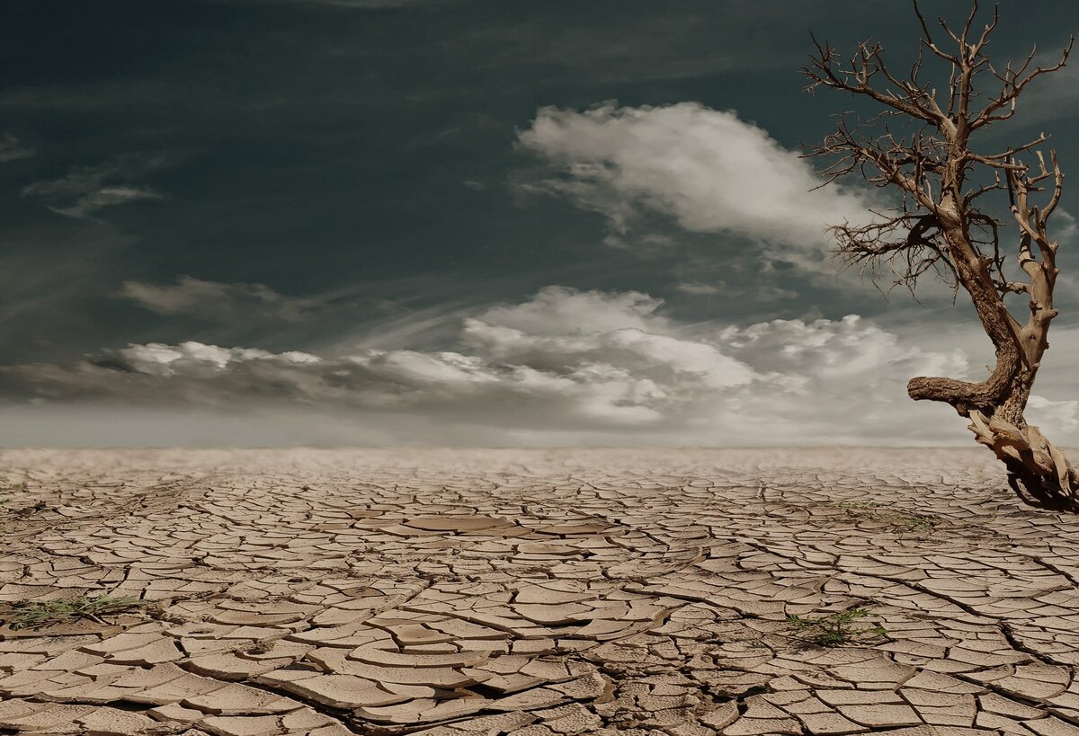 Drought во всей "красе". Фото: Pexels.