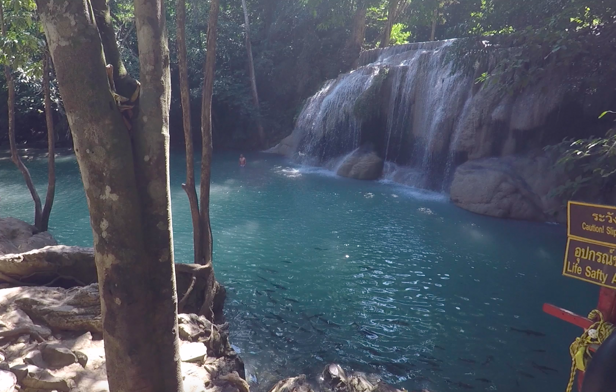 Обратите внимание сколько рыбы