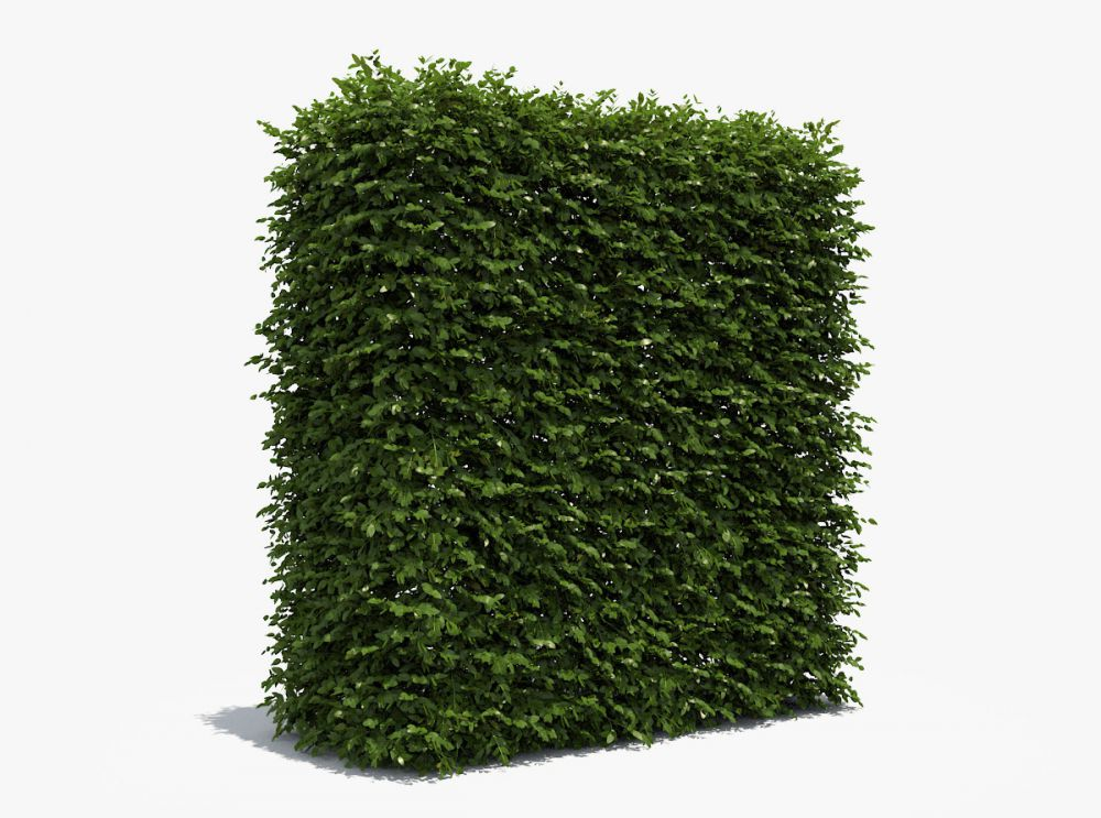 Шумозащитный забор: как правильно его поставить и на сколько снизится ...