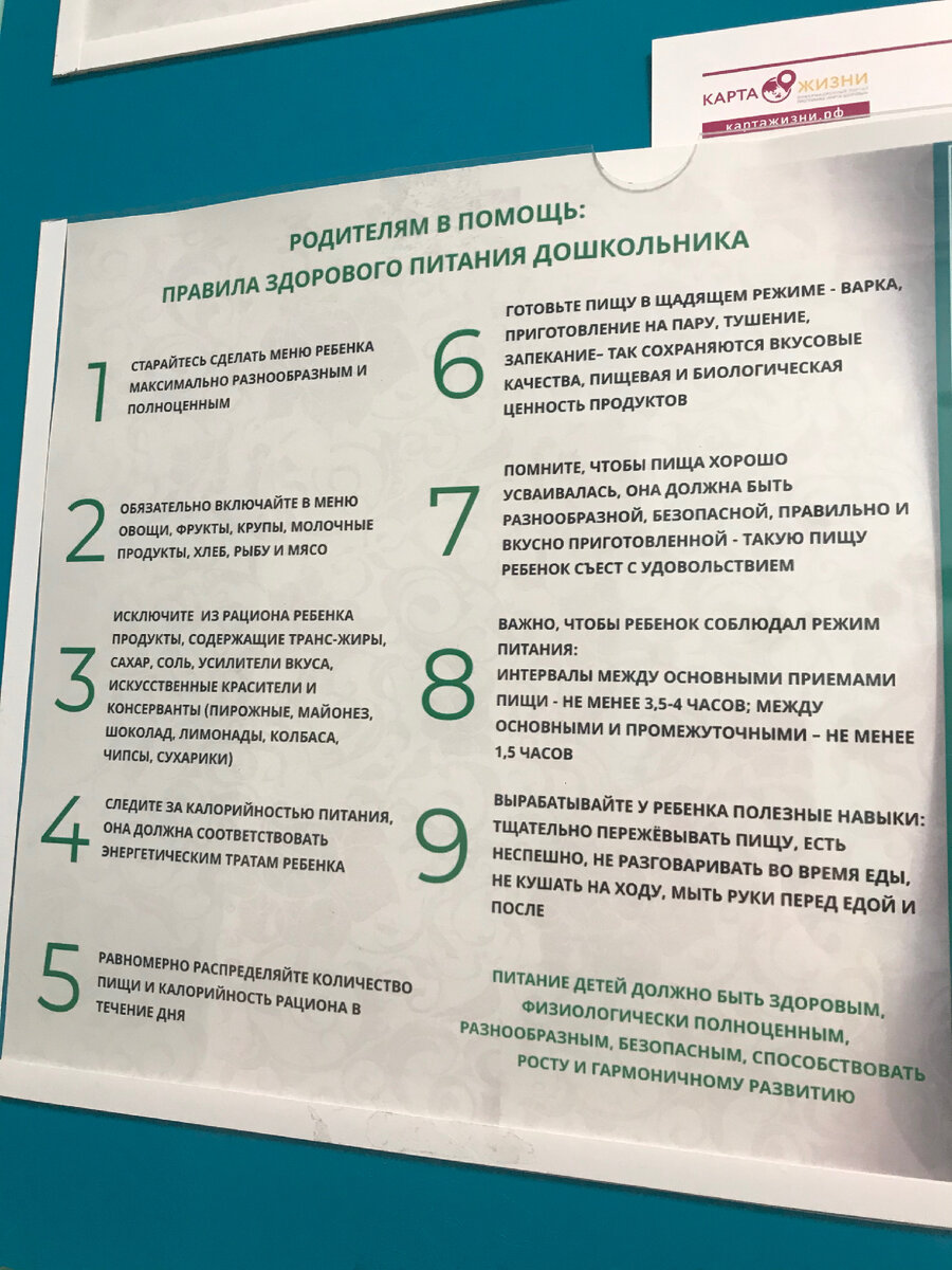 Питание ребёнка после 1 года. Подробное меню и наш опыт. | Мария Перфильева  | Дзен