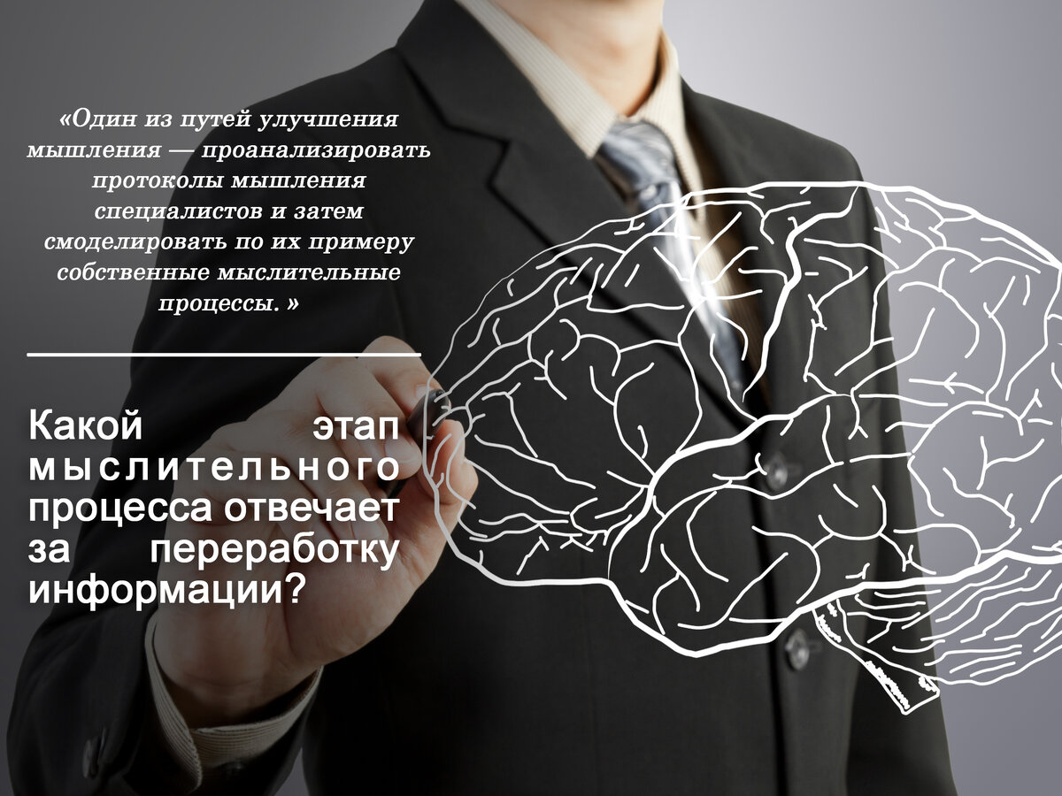 Какой этап мыслительного процесса отвечает за переработку информации? |  Жизнь «до» и «после» | Дзен