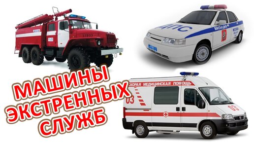 Рыжий кот тюнинг машин