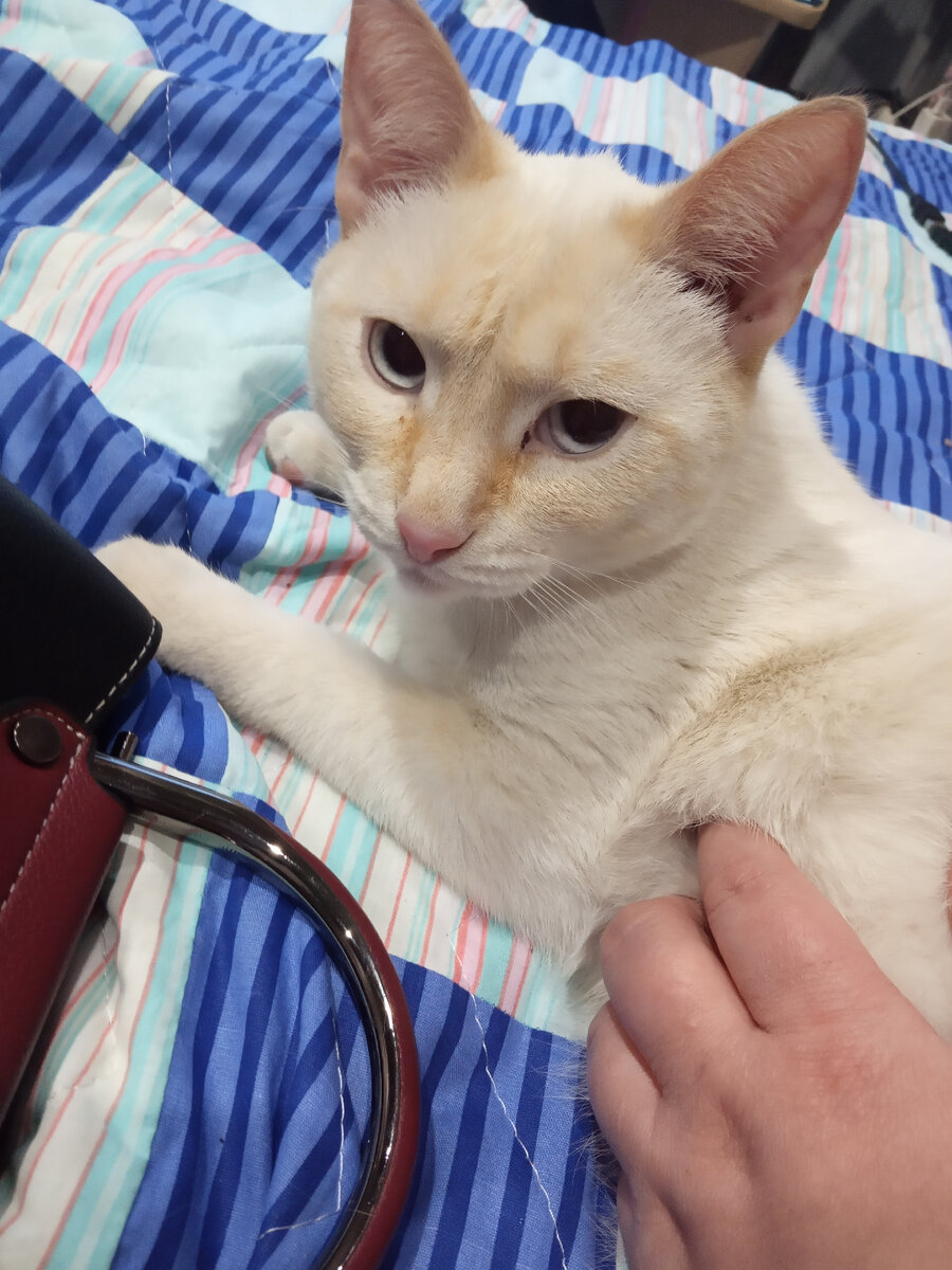 Из личного архива.