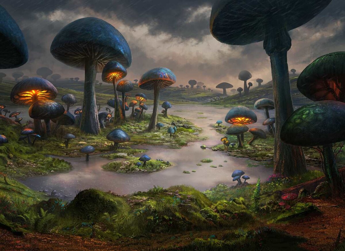 с просторов Сети