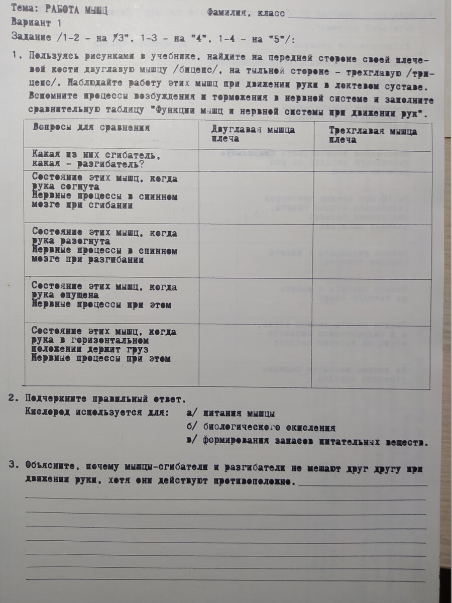 Немного ностальгии — как я делала Опорные карты и рабочую тетрадь по  биологии для 8 класса | Елена Сова: пуд соли в школе | Дзен