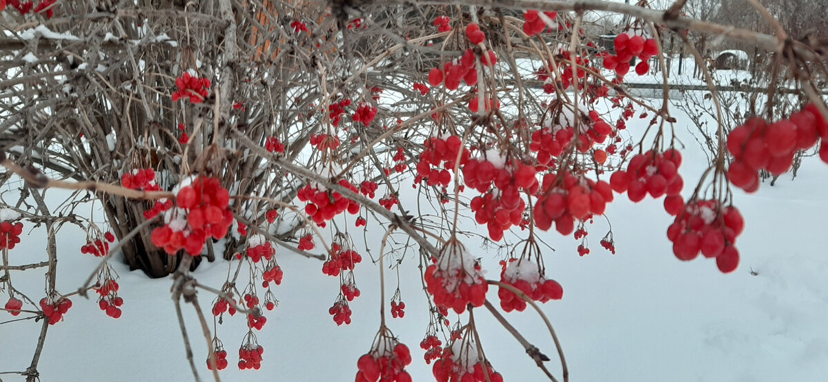 Фото автора.