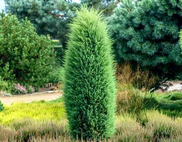 Изображение для иллюстрации, взято из открытых источников 