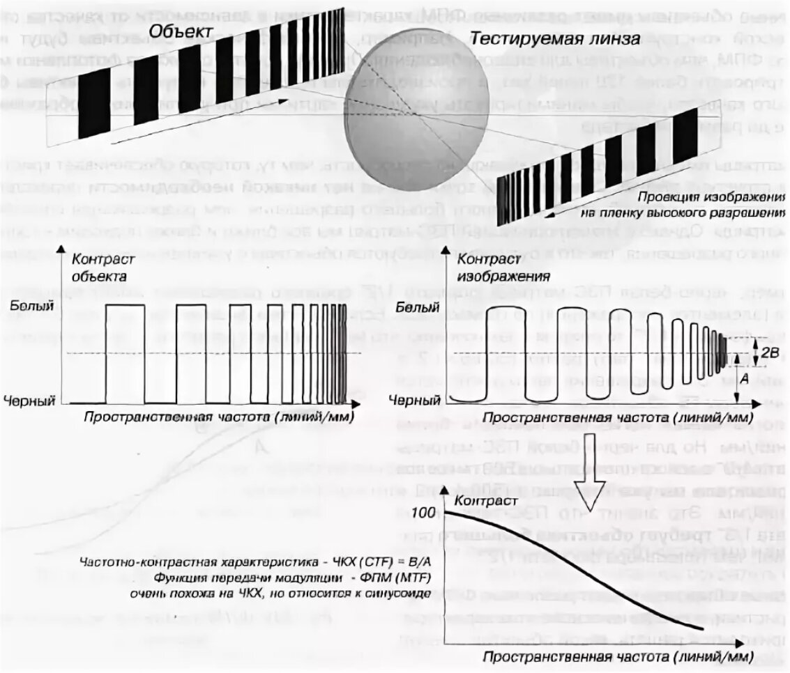 функции чхк и фпм