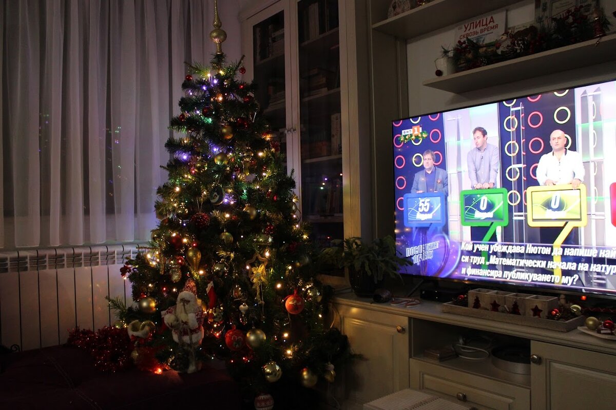 Это моя елочка, фотография прошлогоднего праздника. Живая елка в нашей семье была только в моем детстве, потом - только искусственные. Раньше еще делали одну из двух :), чтобы пышнее была. Но в последние годы елки стали настолько разнообразны - на любой вкус. 