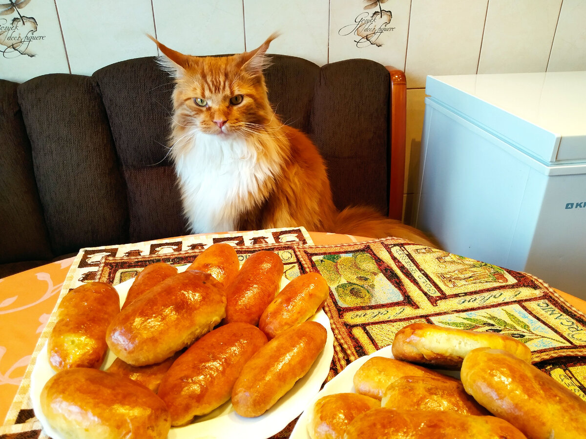 Мейн кун Степа: - Так, ну это я есть не буду точно!