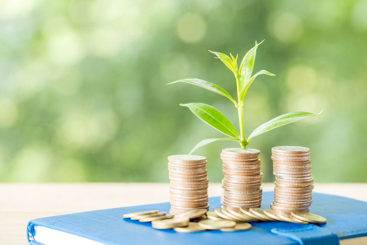 Уровень дохода должен быть достаточным для самого иностранца и для членов его семьи