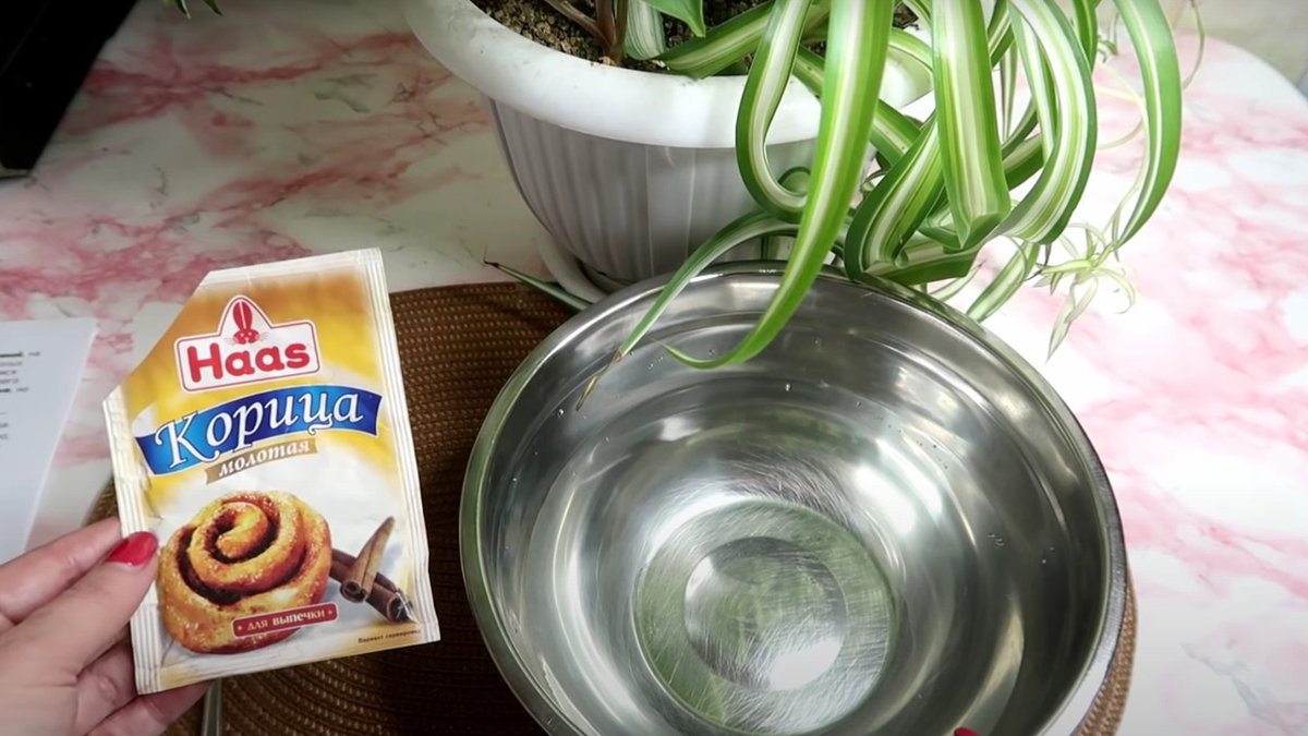 Красивые баночки для приправ. Немецкие специи. Можно ли использовать просроченные специи. В чем хранить приправы. Приправы для украшения блюд.