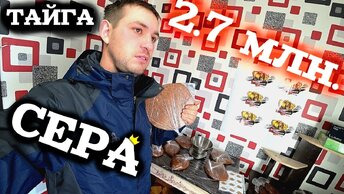 ПРОМЫСЕЛ!!! Тайга Кормилица 2020 !!! МИНИ ЗАВОД ПО ПРОИЗВОДСТВУ ЖЕВАТЕЛЬНОЙ СЕРЫ!