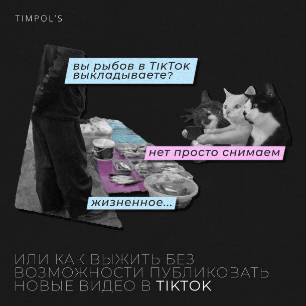 Мем про ТикТок by Timpol's