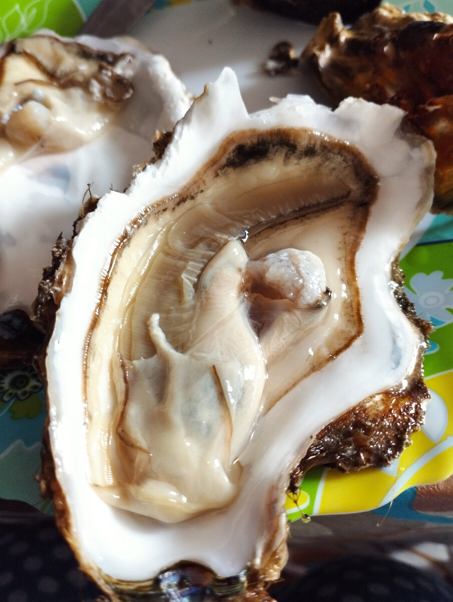 Вот это надо засосать в себя и сделать вид, что устрицы- это ВАУ))))