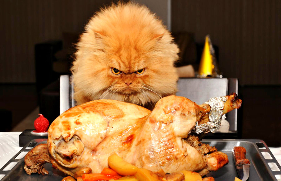 фото: zefirka.net