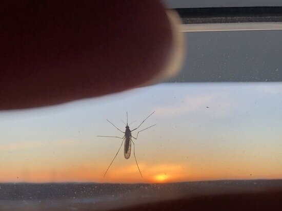 ФОТО: VK.COM ПОДСЛУШАНО В САЛЕХАРДЕ/ЕВГЕНИЯ ДЕМЧУК