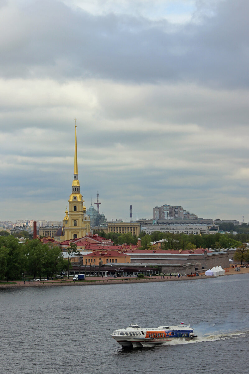 Бельведер бывшей таможни. Поднимемся под купол Пушкинского дома и посмотрим  на Северную столицу с высоты птичьего полёта | Олег Еверзов | Дзен