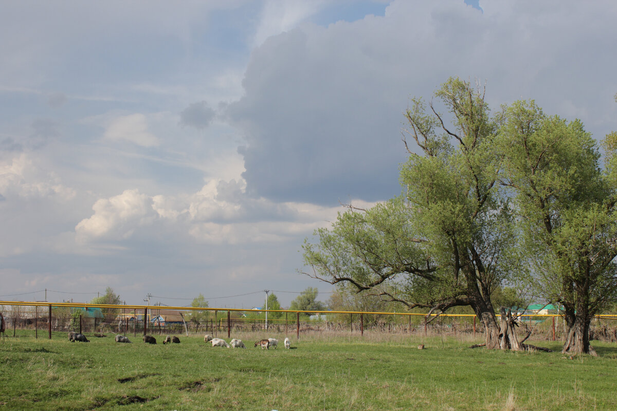 Деревня Кутемели. Сармановский район РТ. Фото: Л.Габдрафикова.