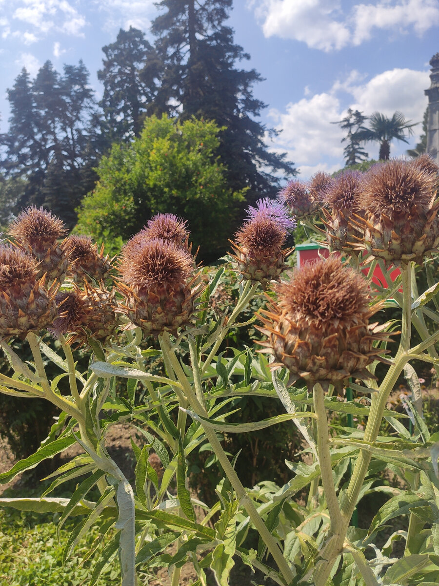 Массандровский дворец