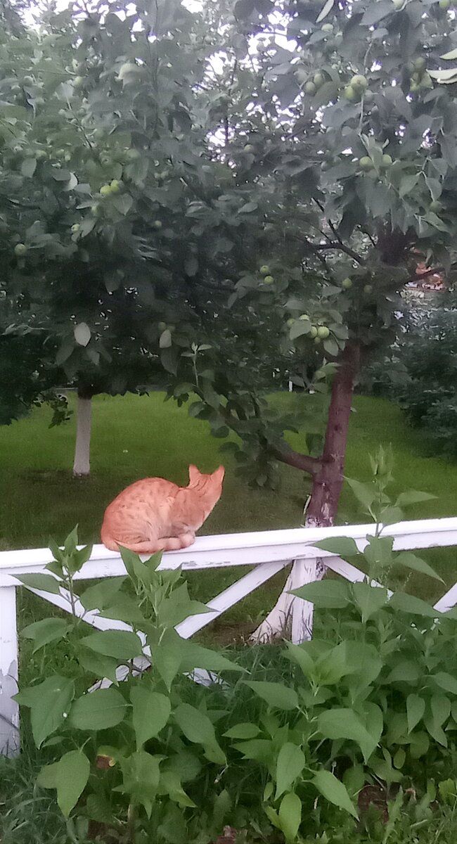Санечка отдыхает
