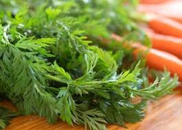 Изображение взято из открытого доступа