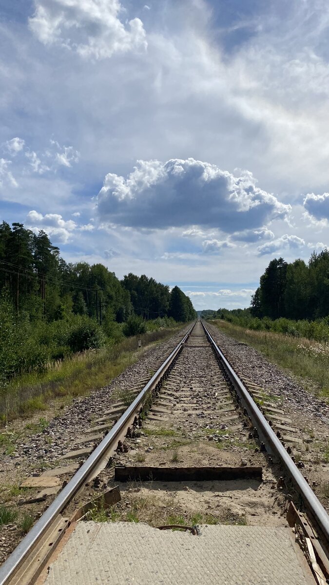 Красота вокруг нас)))