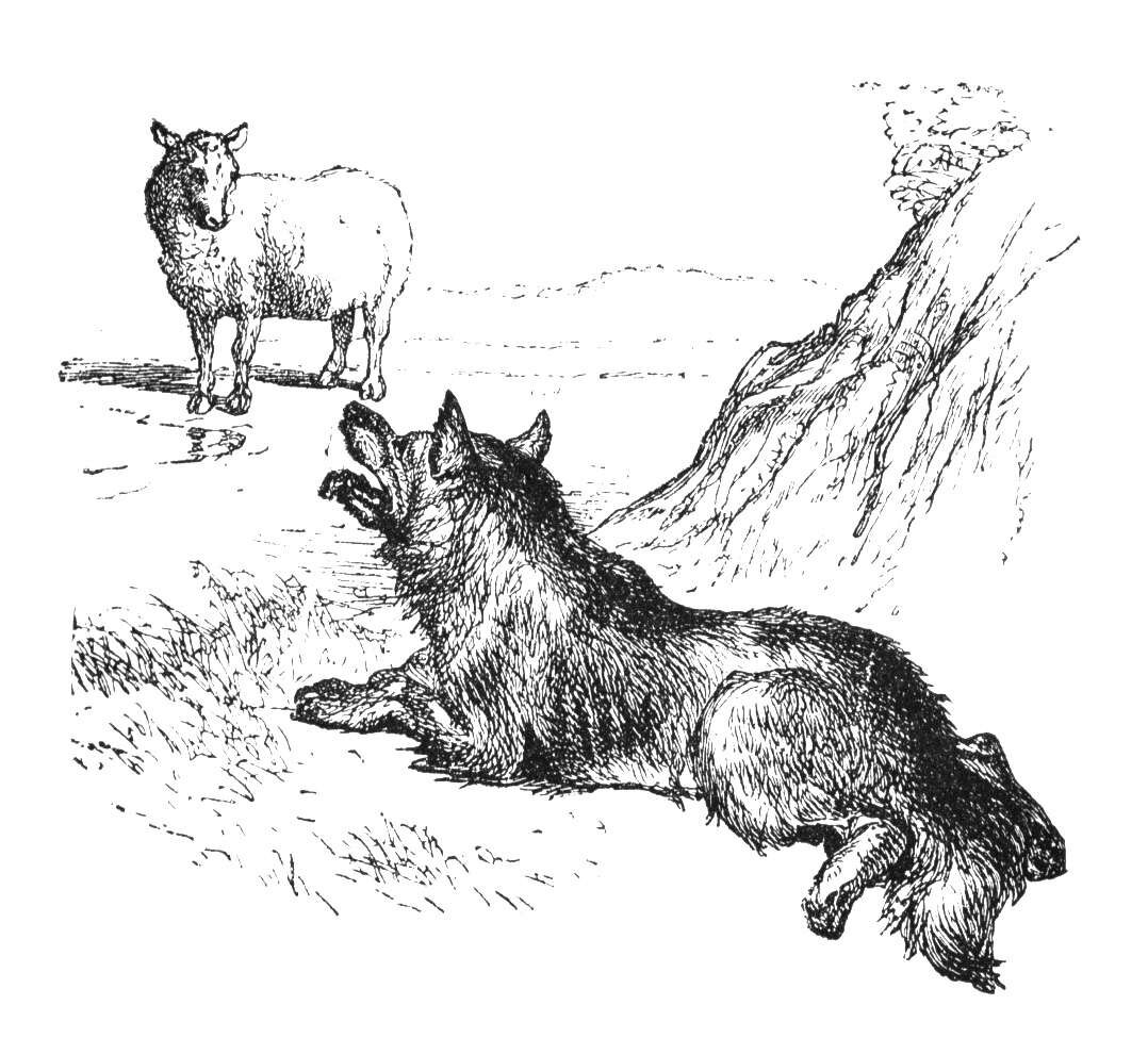 Волк и баран Ингушская сказка