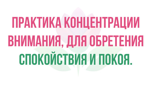 Концентрация внимания. Практики концентрации. Чистое вещество обозначение. Упражнения для тренировки внимания. Фартушная наталья москва.
