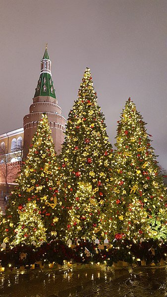 Виктория Стрижова