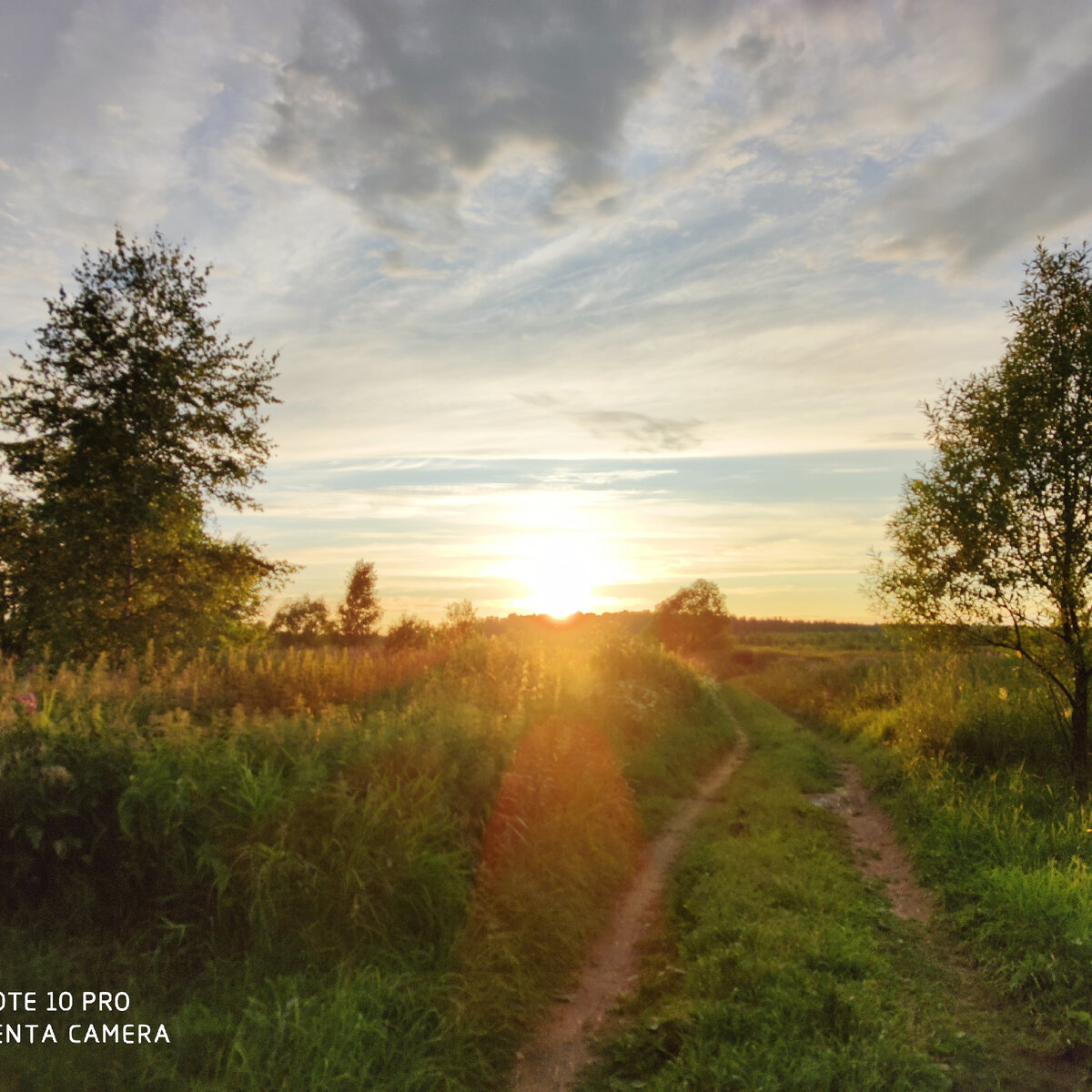 #ВотИлетоПрошло. Организм наш перестраивается на новый, более размеренный образ жизни и отдых. Но, современный человек "чихать хотел"😉 на эти условности. 
Планы, кредиты, поездки, покупки, любовь, морковь и дети.... Одним словом, не медведи же мы, чтобы зимой зарываться у себя в берлоге. А что делать?!

        Попробуем поспорить с генетикой, точнее подстроиться под неё. Для начала определитесь кто Вы? Дофаминовая, сератониновая или норадреналиновая структура 😂

       Точнее это может сказать только лаборатория и Ваша генетика, но для тех, кто предпочитает жить в неведении, попробую помочь с выбором. По поведению человека и его психо - эмоциональному состоянию можно много что понять о себе, своих детях и близком человеке.

       Например, у тех из нас, кто получил поломку в гене DRD2, СОMT может случится так, что Вам по жизни сложно порадоваться. Например, мечтали Вы поехать в Австралию или купить BMB, съездили, а радости не получили. Или, Вас все время тянет на азартные игры, поехать побухать с друзьями (хотя Вам уже не 25 и даже не 40 уже) или попробовать прыгнуть с парашютом или у Вас есть зависимость от еды. Быть може Вы уже ни раз женаты и снова разводитесь.....

       Если не в даваться в рассуждение о генетических поломках - Вам не хватает дофамина. Это #нейромедиатор, который толкает нас на подвиги и действия. Таких детей нужно поощрять на частую смену деятельности и водить их по разным кружкам. А взрослых бесполезно исправлять и учить. Так как, дофамин синтезируется в лимбической части мозга, а она древнее, чем неокортекс. Проще такого "козла" не пускать в свой огород😁

      Но быть по жизни #козлом/козой не обязательно😂 С этим можно работать! Кроме прикурсоров дофамина (в этом случае сложно дать для всех универсальный совет, тут дело индивидуальное) есть несколько простых способов:
☘ секс и обнимашки - повышает уровень #дофамина
☘витамин Д3
☘ аэробные упражнения, сложно координационные,
☘медитации
☘ музыка (расслабляющая, на определенной частоте)
☘ исключить алкоголь и сахар (это стимулирует нейроны еще синтезировать дофамин начинается абстинентный синдром – без сахара и алкоголя дофамин синтезируется мало).

      Если Вы прирожденный лидер или в подростковом периоде у Вас были суицидальные наклонности (например, из-за любви могли пойти на отчаянный шаг). Вы любите поговорить (а дети болтают без остановки на любые темы и без них, просто не закрывается рот 😱). Вы обидчивы или чрезмерно сострадательны, у Вас снижен болевой порог, плохой сон, тревожность или уже депрессивное расстройства, есть проблема с ЖКТ....
Вы серотониновая натура!! Таких детей нужно хвалить за их успехи, а не ругать за неудачи. Иначе они это будут воспринимать, как "Я ПЛОХОЙ". И всячески повышать уровень серотонина:
☘ секс и обнимашки;
☘ активные формы витаминов группы В
☘ 5-HTT – отвечает за обратную скорость захвата серотонина. Но если ген HTR1A имеет полиморфизм в сторону замедления своей работы - эта добавка может привести к еще большей агрессии (так как будет накапливать серотонин в синаптической щели)
☘S-аденазилтианин - для тех, кто не может переключится в смене деятельности (при медленном гене СОМТ). НО! Не всем.
        Детям, которые плохо засыпают можно предложить: горсть миндальных орехов или кусочек шоколада (он содержит 5-гидроксийтриптофан – предшественник серотонина) за пару часов до сна, ½ подсолёного авокадо или не очень зрелый банан или смешать всё. Особенно хорошо детям, которые любят перекусить вечером.

         Если Вы долго переживаете стрессовую ситуацию. Например, на Вас наорал начальник, а Вы еще неделю ходите и в голове прорабатываете коварный план, как отомстить этому у...у и накручиваете себя, накручиваете.... Про Вас говорят - пессимист. Вы можете "вспыхнуть, как спичка", если что-то случается....
Вы имеете повышенную чувствительность к адреналину и нароадреналину. У Вас есть полиморфизм в гене
NET, алель С/Т или хуже Т/Т

        Таких детей нужно в момент гнева обнять, погладить, принести орешки, конфетку или похвалить. Взрослым это тоже ОТЛИЧНО помогает!!!
Вообще гиперактивных мыслителей притормаживает:
☘ ГАБА (но нужно смотреть реакцию)
☘витамин Д (снижает рецепторную чувствительность)

       Видите, как много способов бороться со стрессом, если знать себя и свои особенности, можно подстроиться. С собой всегда можно договориться. Главное, при любой, даже самой отчаянной случае, не принимать антедепрессанты. Пилюльки просто блокируют Ваши рецепторы и лишают Вас способности жить без таблеток.

                                                                                                                На здоровье 🤗🍒
