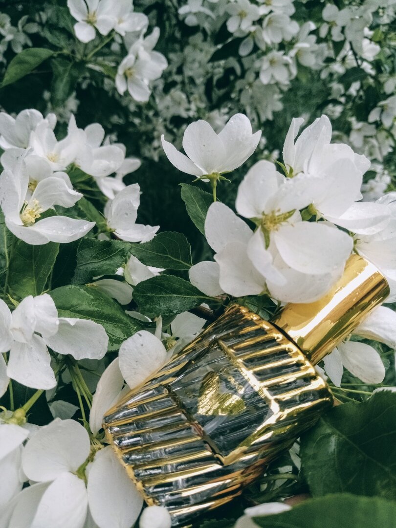 личный архив