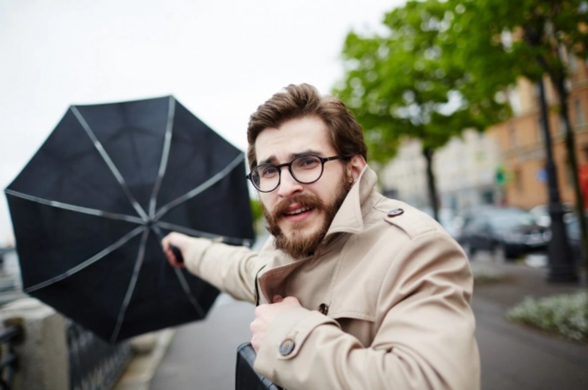    В Ростове несколько дней будет очень ветрено