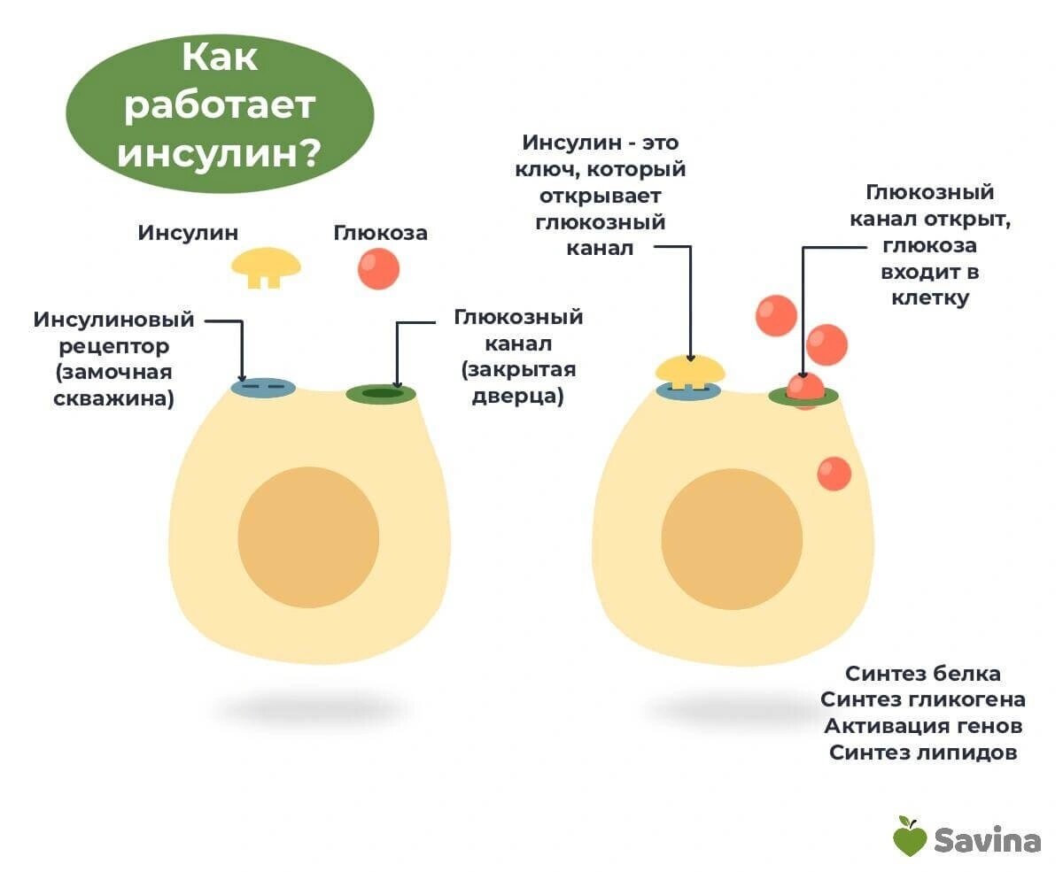 ИНСУЛИН ПОВЫШЕН (ПОНИЖЕН)! ЧТО ДЕЛАТЬ - Статья I Клиника доказательной медицины NEPLACEBO