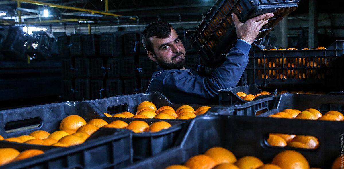 Фото: Валерий Шарифулин/ТАСС