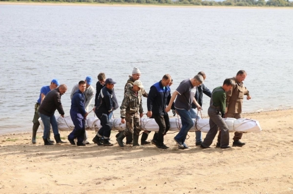    Подобных находок здесь не было больше пятидесяти лет.