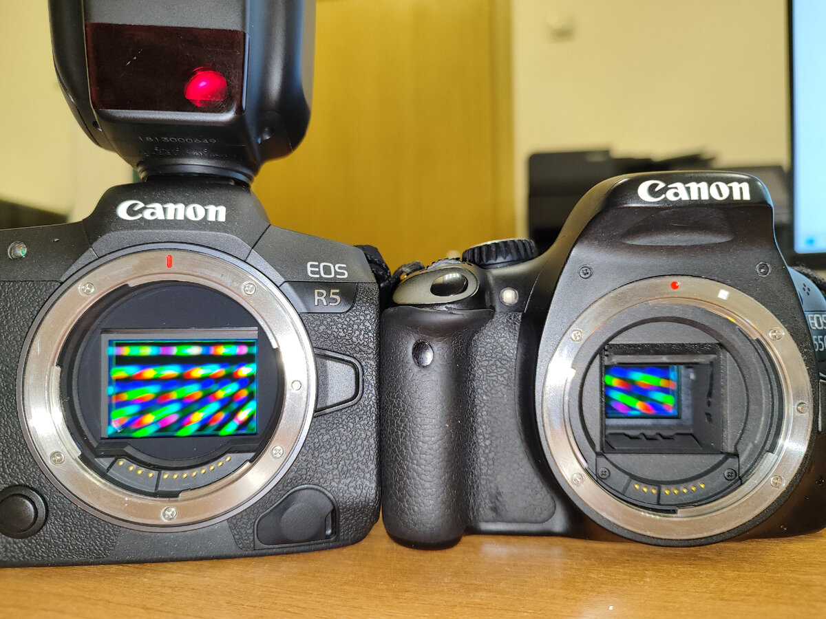Полнокадровая (слева) и кропнутая матрицы Canon