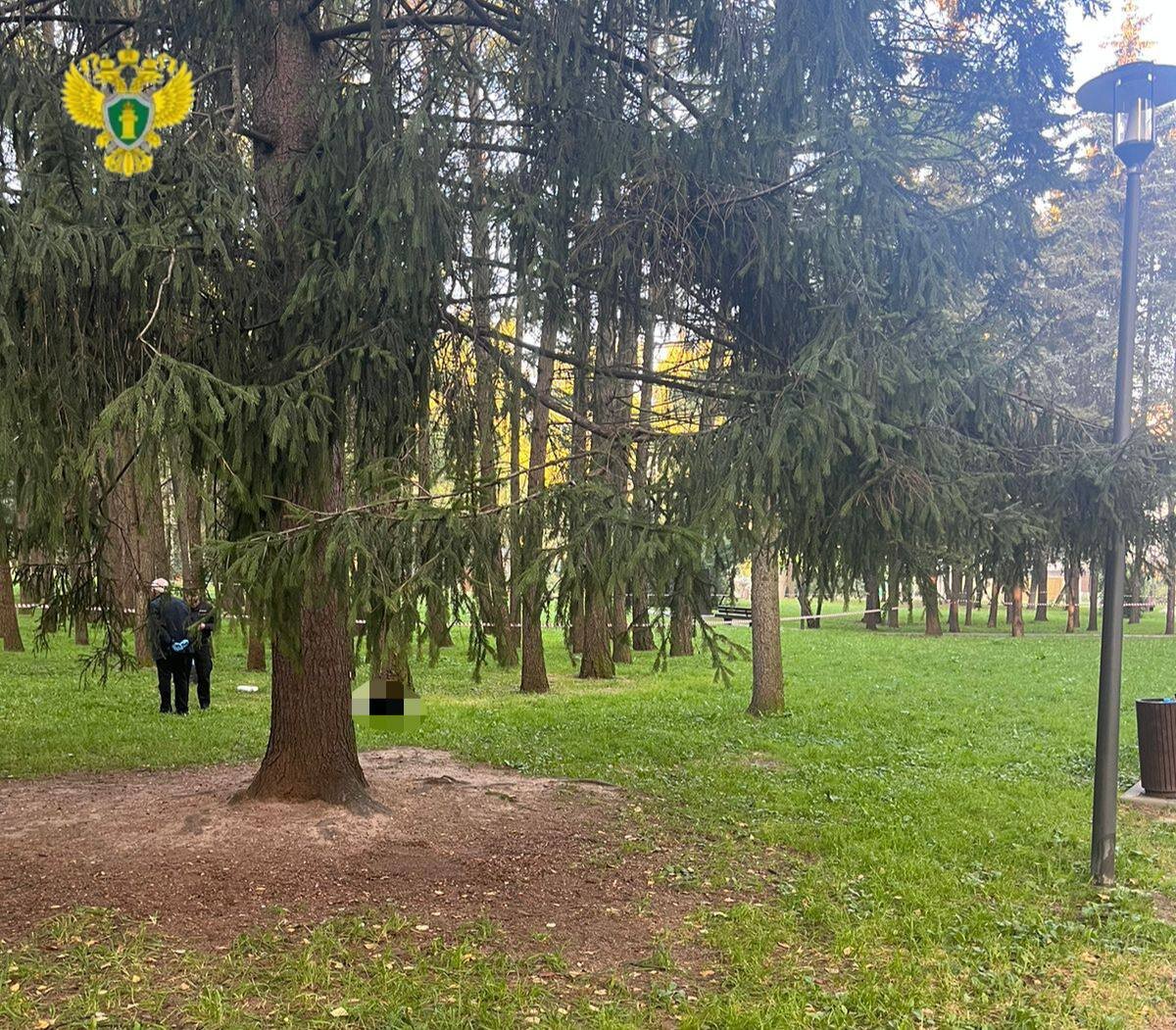 Фото: пресс-служба прокуратуры Москвы