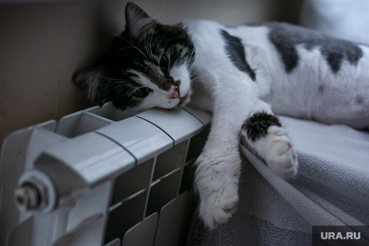    Отопление начнут подавать 21 сентября