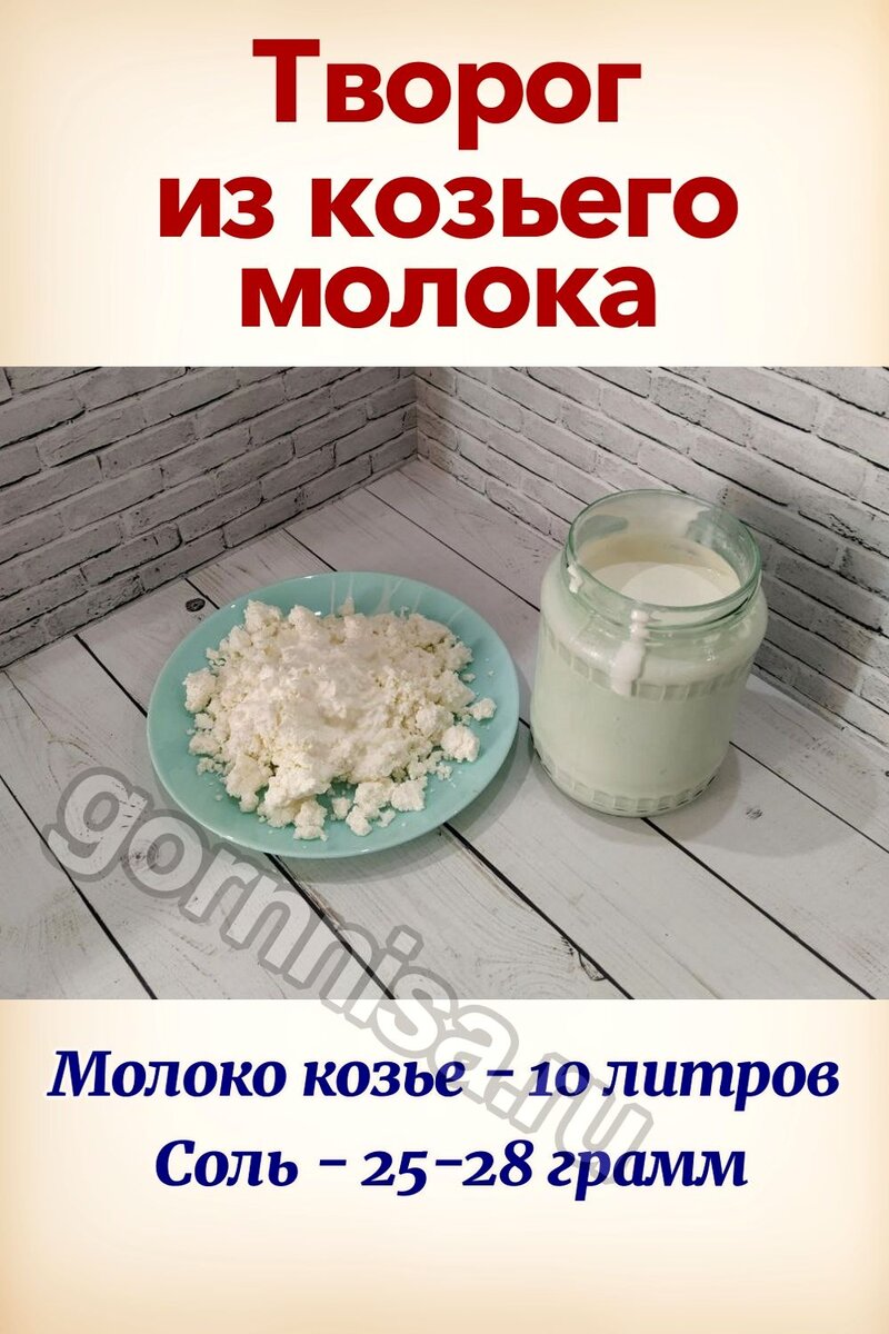 Творог из Козьего Молока.Домашний Творог.