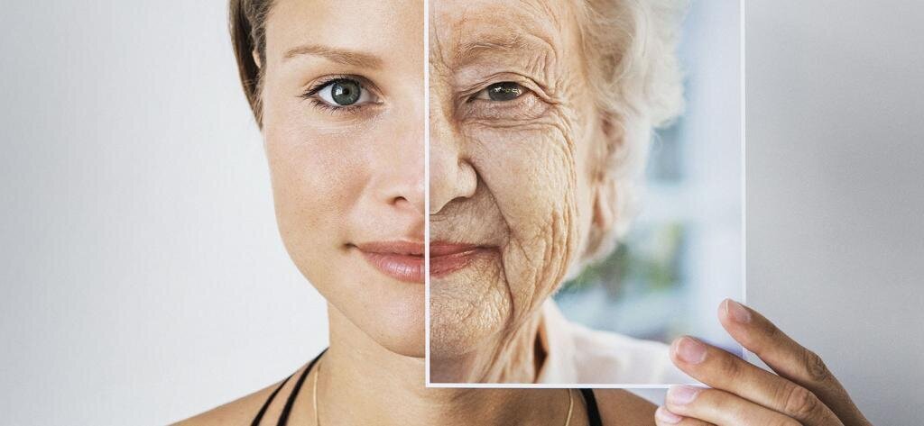 Старение наступает в связи с зацикленностью одной из многочисленных программ, присутствующих на ветке жизни.