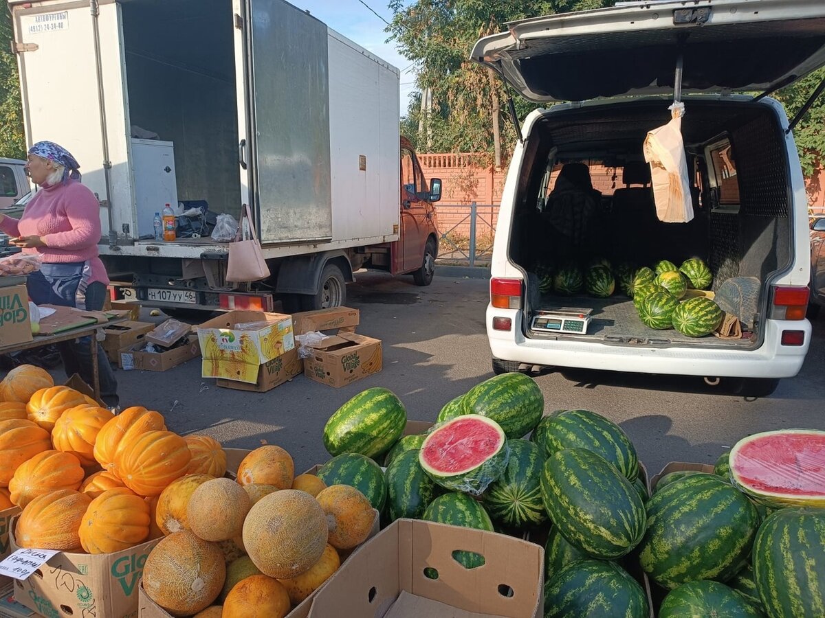    В Курске проходит первая сельхозярмарка «Осень-2023»